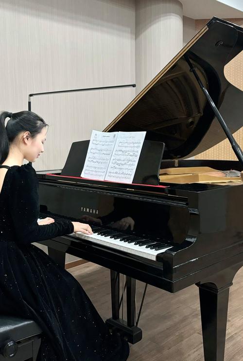 中央音乐学院高考培训