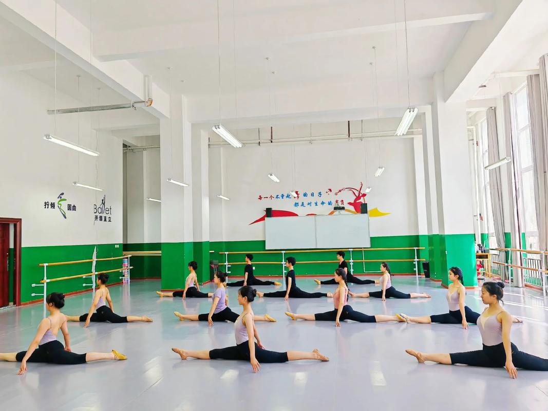 成都金花舞蹈培训学校