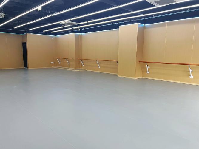 哪有舞蹈高考培训学校