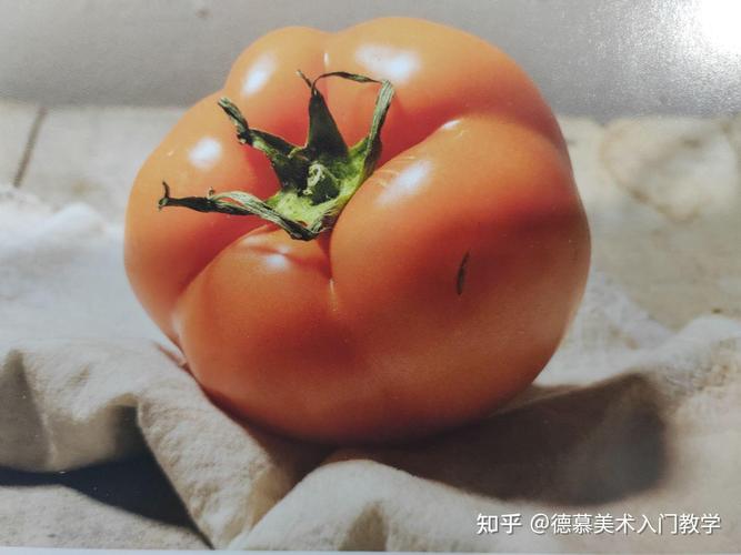 上海嘉定区学画艺考德