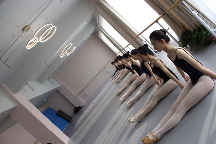 艺考民族舞有那些学校