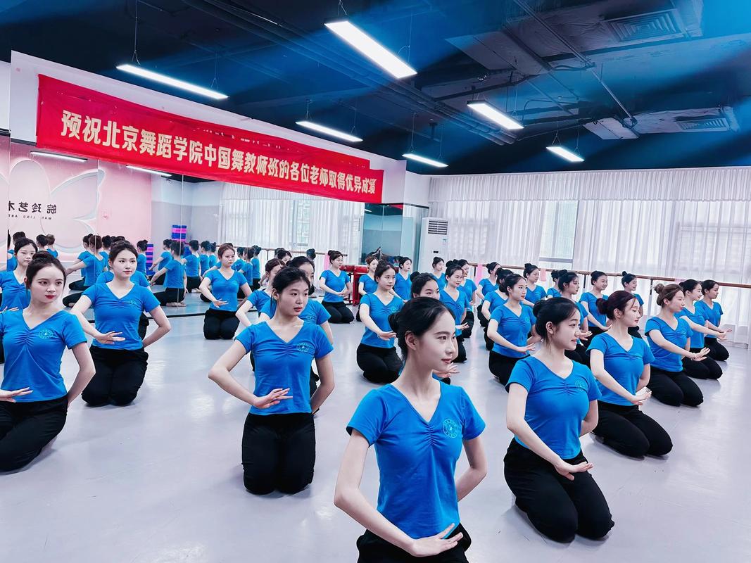 北京舞蹈表演国际学校