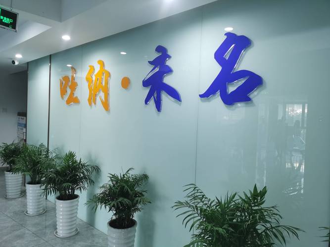 福州高三艺考文补机构