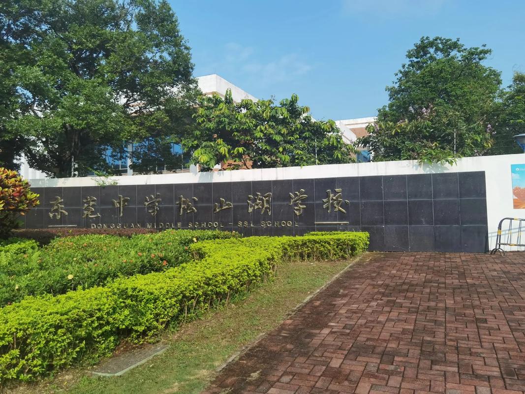 东莞有好的音乐学校吗