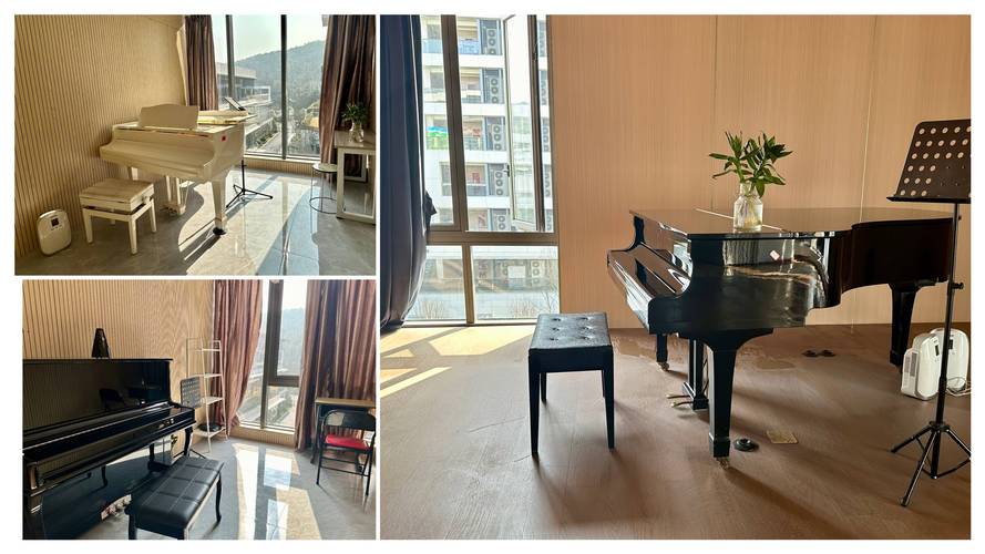 张家界的艺考培训学校