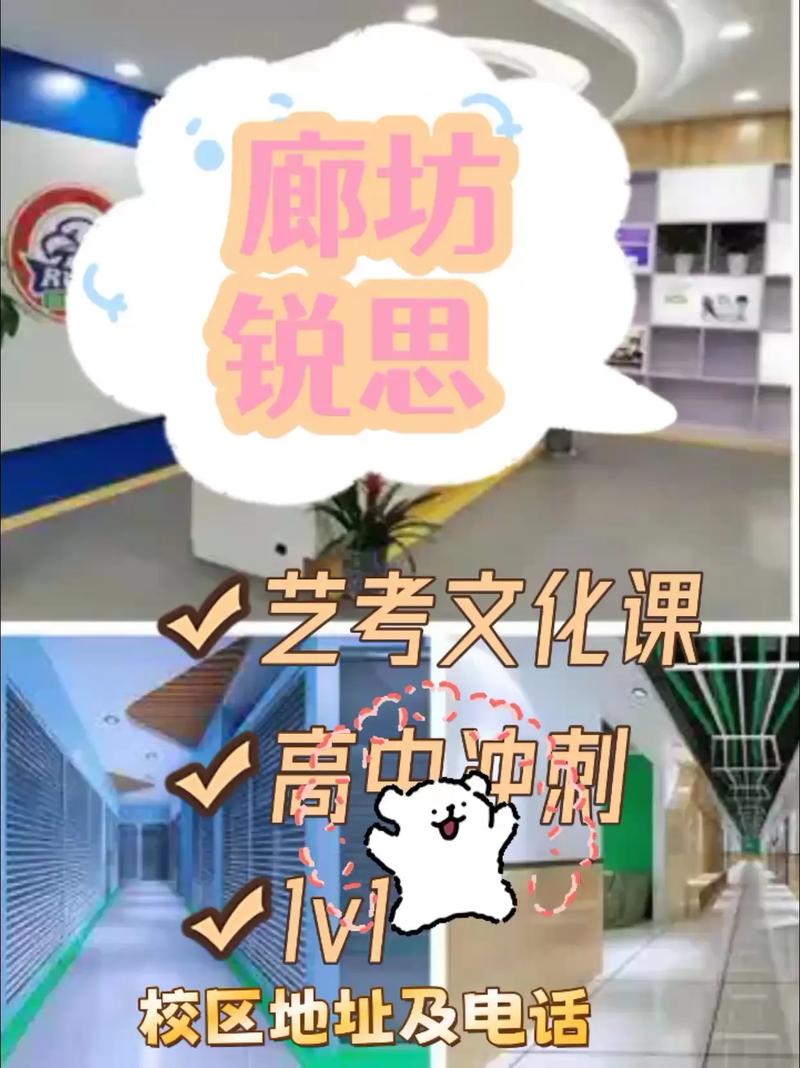 思在教育 艺考文化课