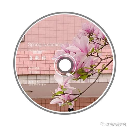 渭南师范编导艺考真题