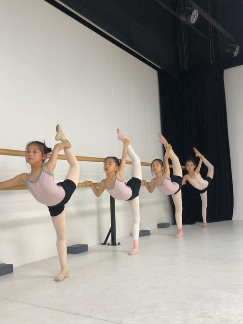 体院毕业体育舞蹈专业