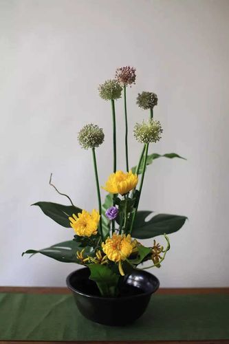 辽宁考花艺资格证学费