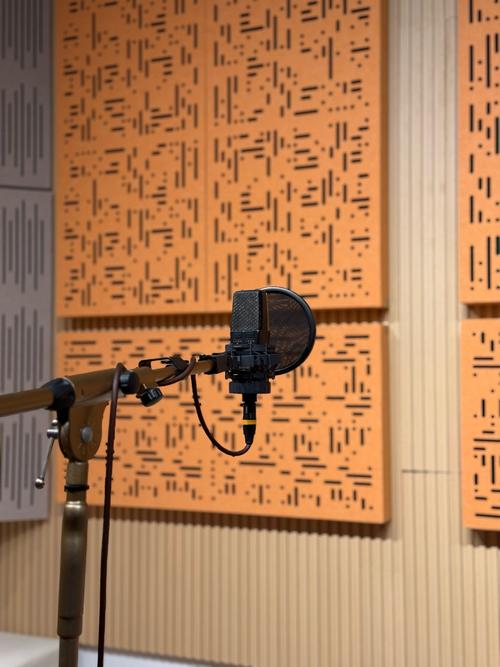 河北师大音乐学院录音